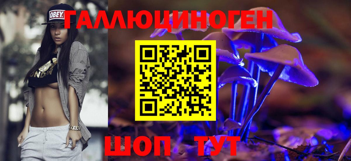 Тверь  Галлюциногенные грибы MAGIC MUSHROOMS  Вход с VPN 