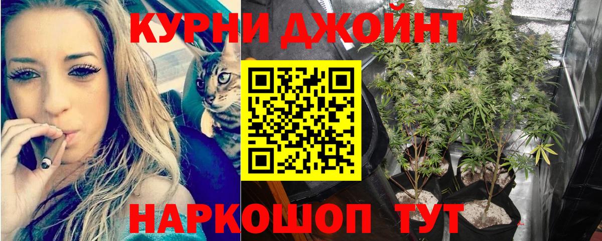 МАРИХУАНА ГИДРОПОН  Бошки марихуана сатива  Марихуана MAZAR  Тверь  Вход с VPN 
